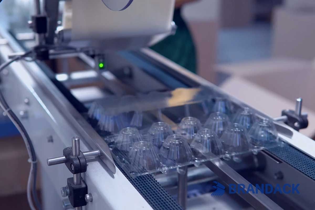 L&iacute;nea de producci&oacute;n de embalaje en blister