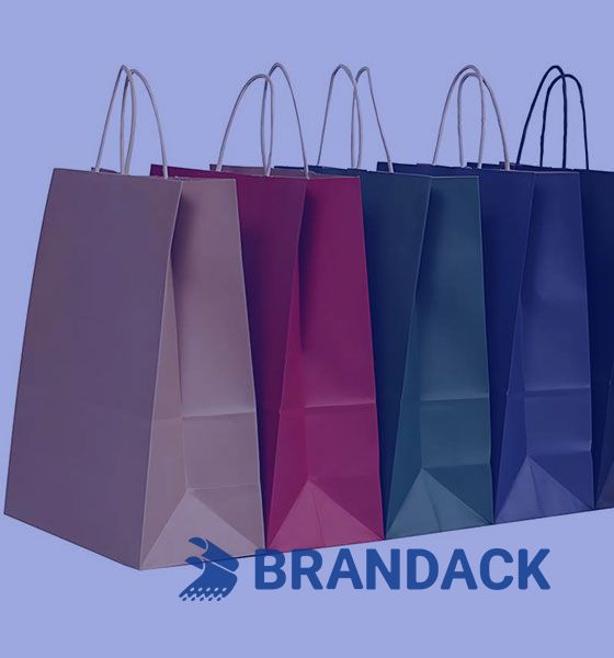 Bolsa de compras de papel personalizada - Bolsas de embalaje de marca a medida