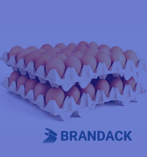 Cajas de cart&oacute;n de huevos impresas personalizadas con embalaje en bandeja plana