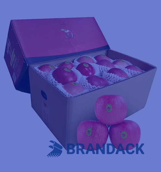 Soluciones de embalaje de frutas y suministros de cajas de cart&oacute;n para env&iacute;o